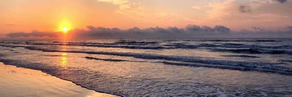 JLynnBartels Profile Banner