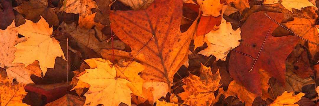 _LizzKessler's profile banner image