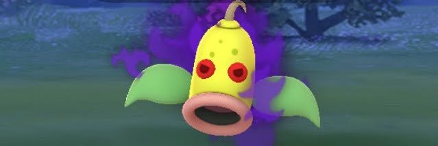 skdch5's profile banner image