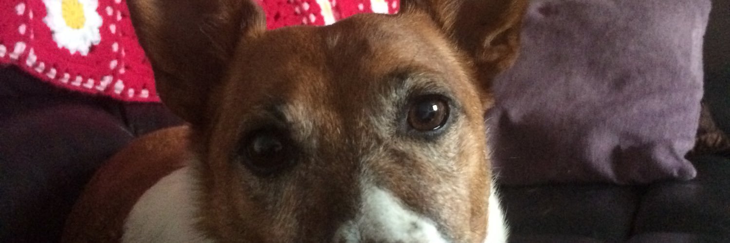 JenGlansford's profile banner image