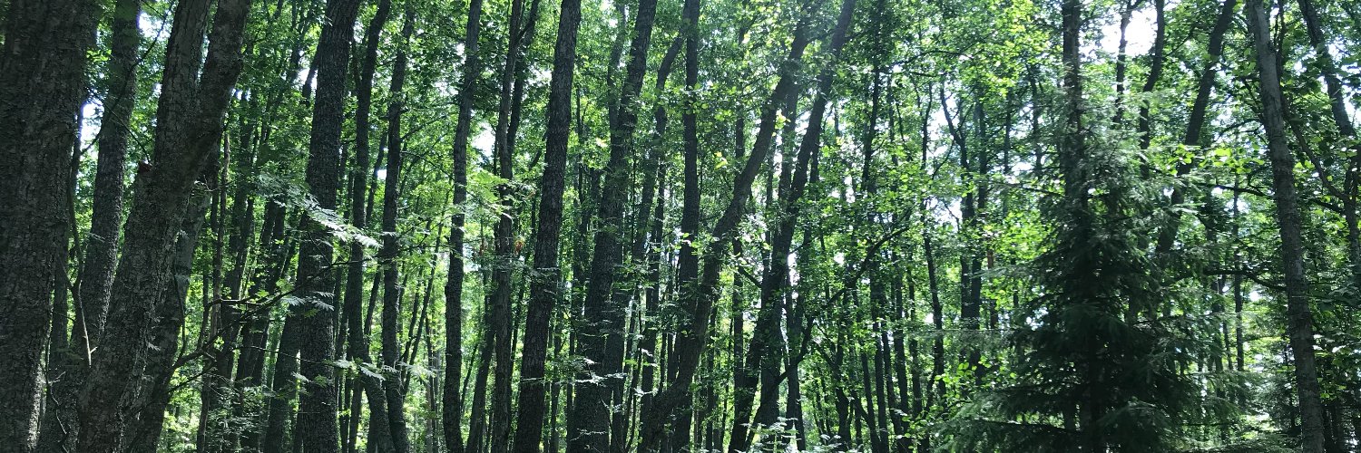 GRETE Project_EU banner