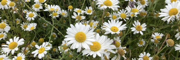 medstudentbecca Profile Banner