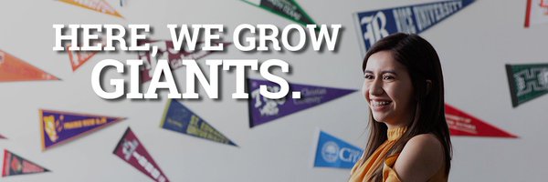 SJEBears Profile Banner