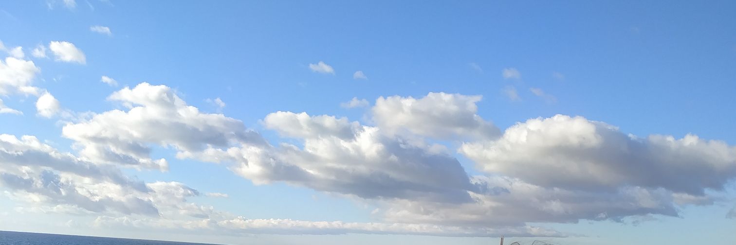 evtrse's profile banner image
