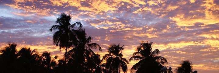 Mpchano's profile banner image