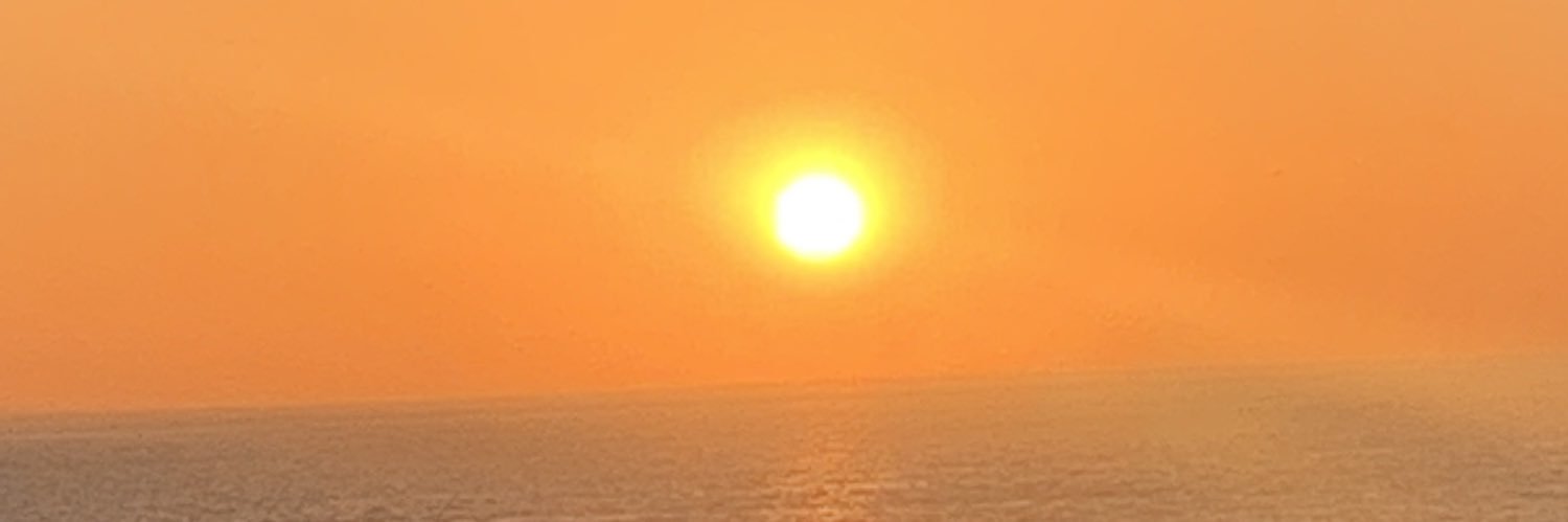 r banner