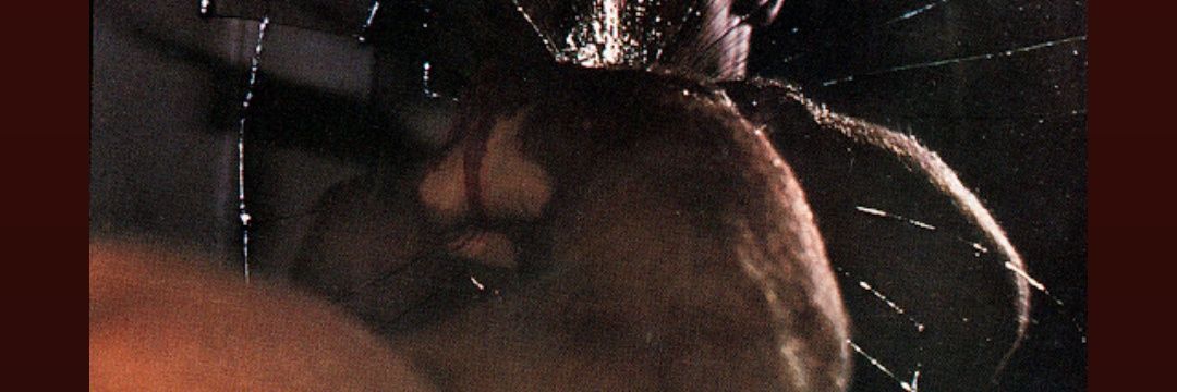 suntservanta's profile banner image