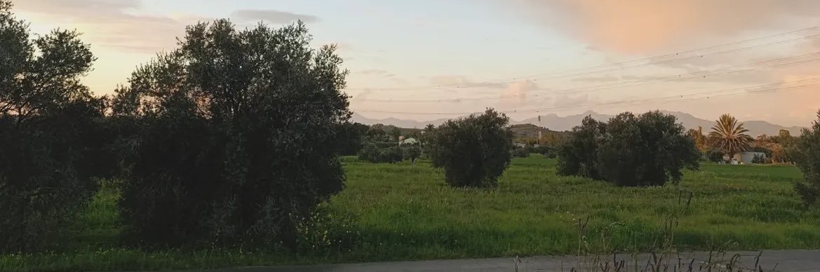 İsa Çelik banner