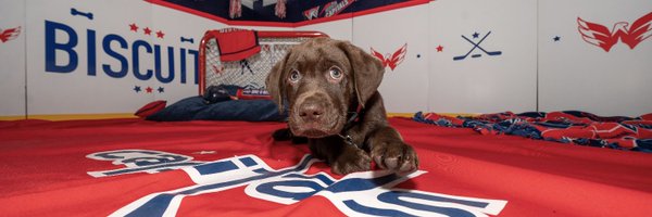 CapsPup Profile Banner