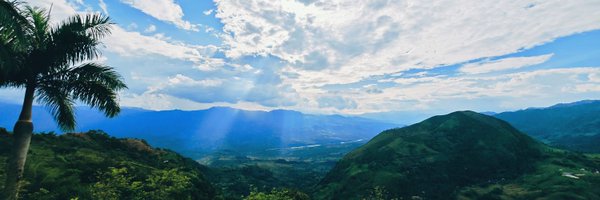 mane9999 Profile Banner