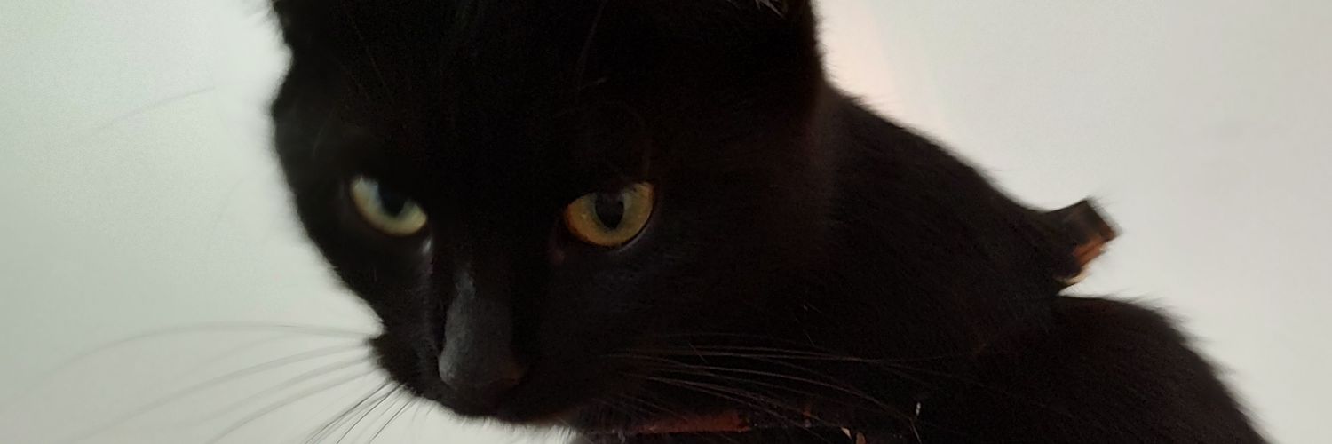 BogdanFog's profile banner image