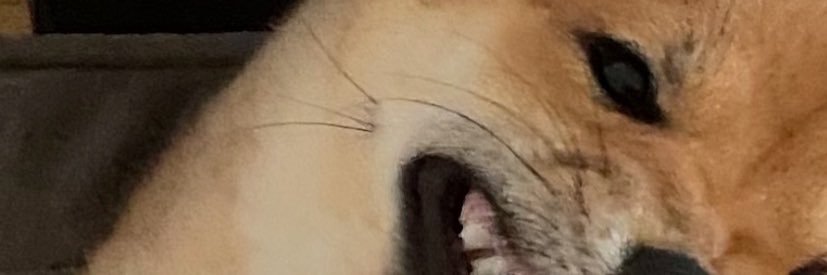bodrogi_rbert's profile banner image