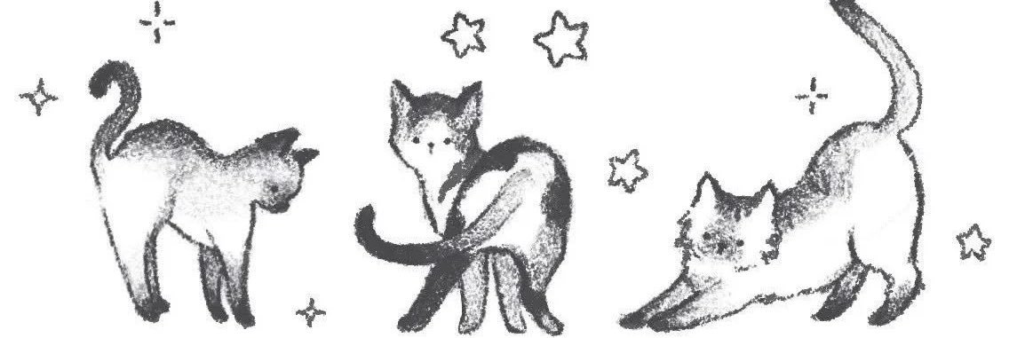 торіель banner