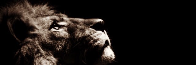okangennc's profile banner image