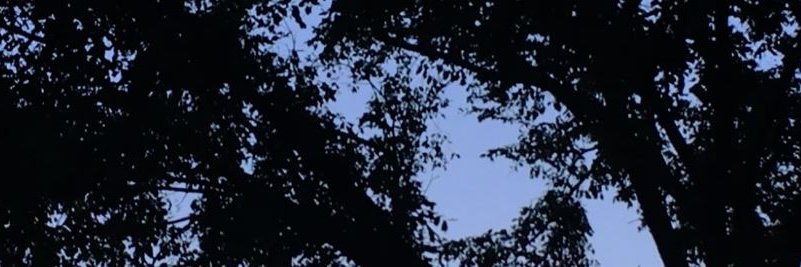 Mourning Talk Show banner