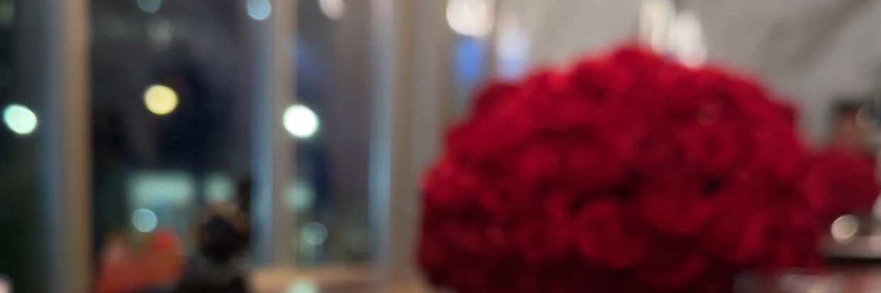 Elizabethhrojj's profile banner image