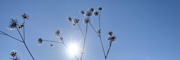 TIEDKNOTS Profile Banner