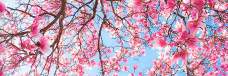 daniellesarah92's profile banner image