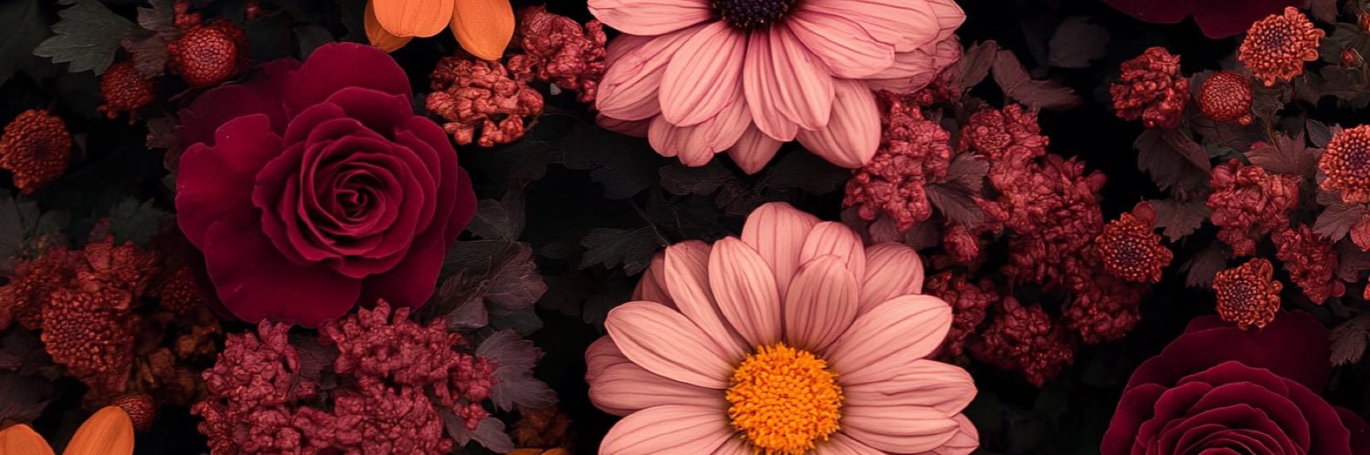 RominaVioleta's profile banner image