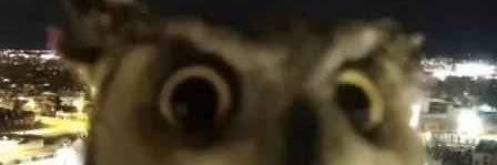 bysimsalabim's profile banner image