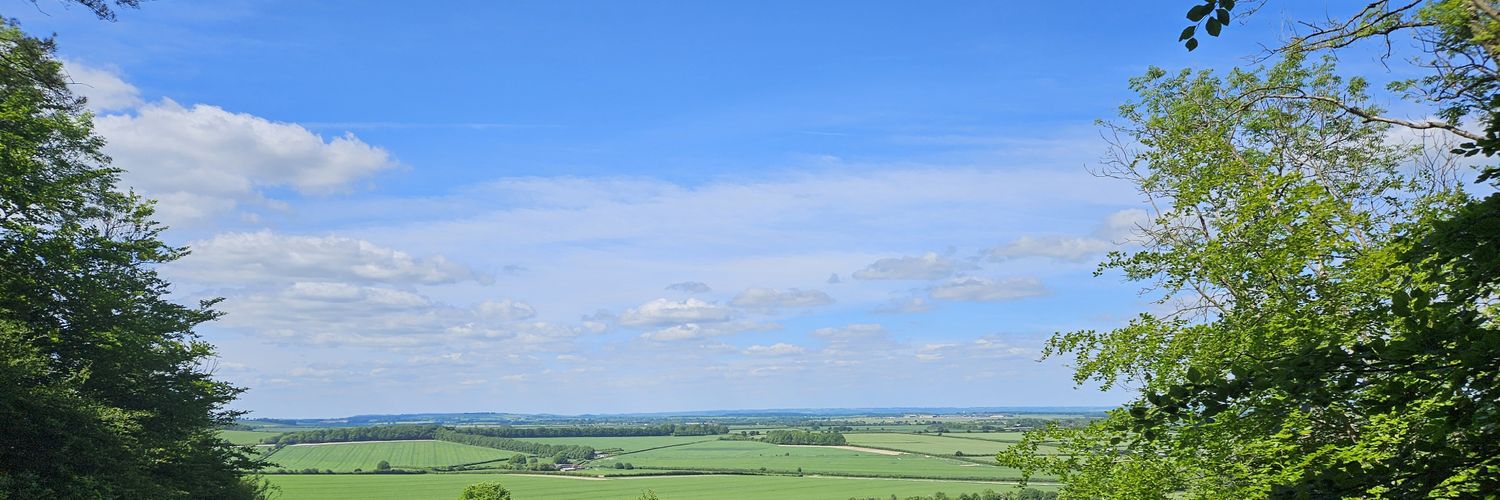 MissisAllwright's profile banner image