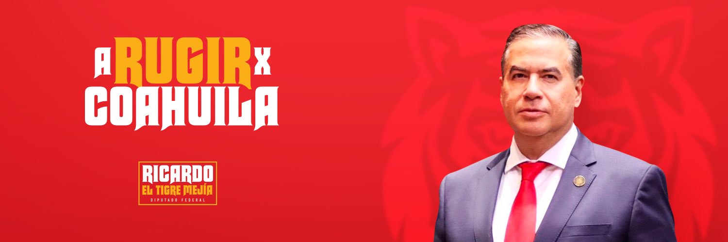 RicardoMeb's profile banner image