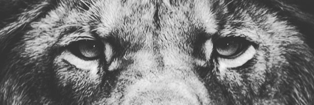 DeborahLam333's profile banner image