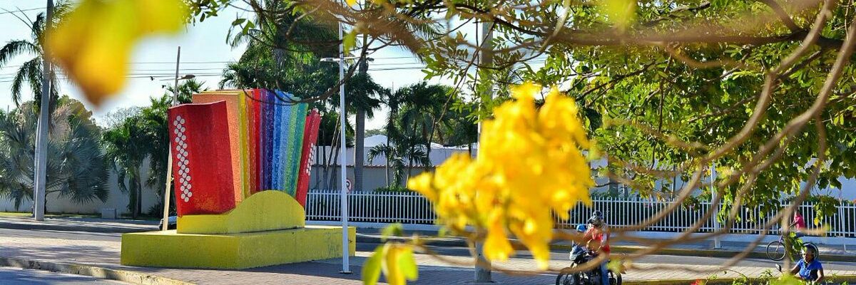 HaiderGut's profile banner image
