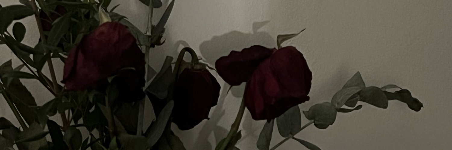 Luna 🥀 Profile Banner