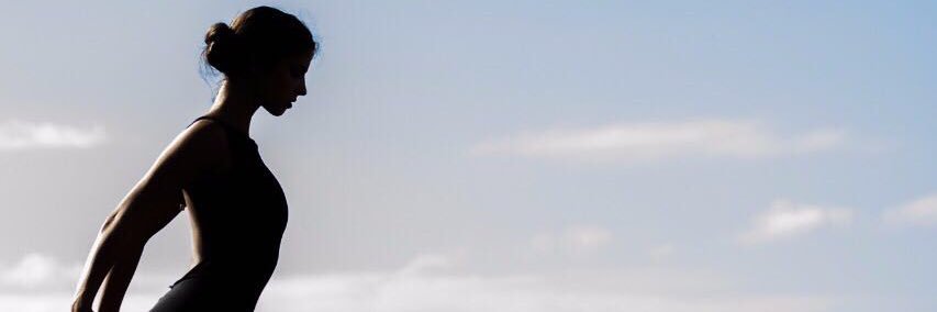 yasmimgervasio's profile banner image