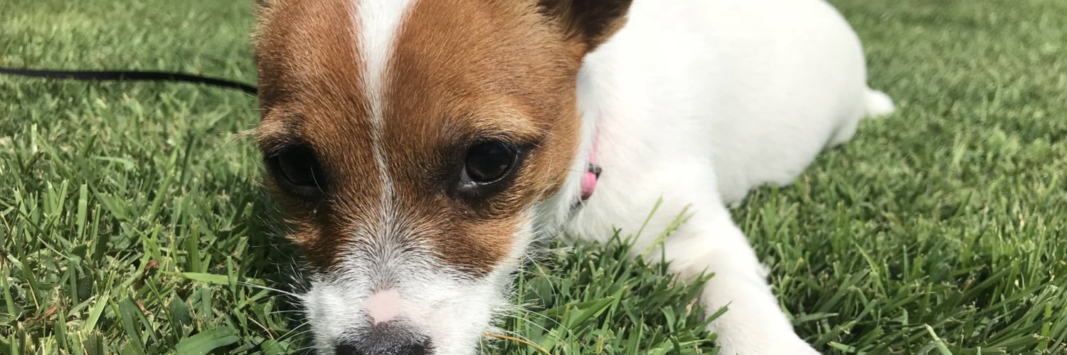 kelseymac96's profile banner image