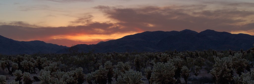 bcschiffler's profile banner image