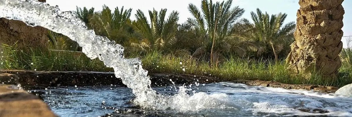 ام هاني banner