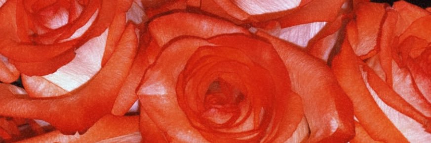 jordynS__'s profile banner image