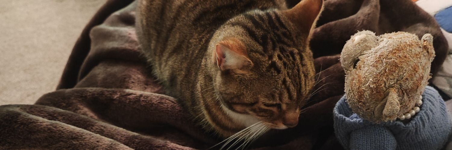 Anji (Blue Spice) banner