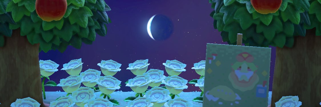 anausagi's profile banner image