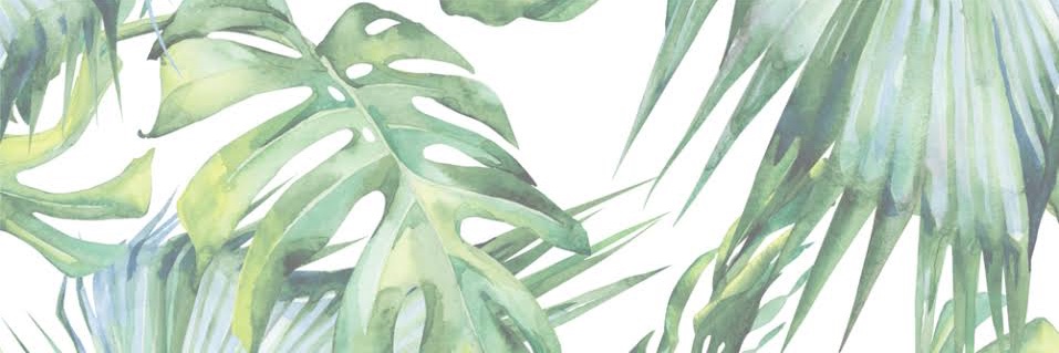 jucarya's profile banner image