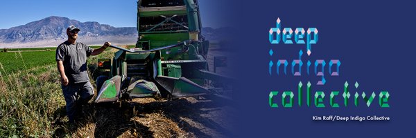 DeepIndigoCo Profile Banner