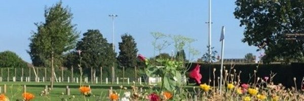 CaldicotTown Profile Banner