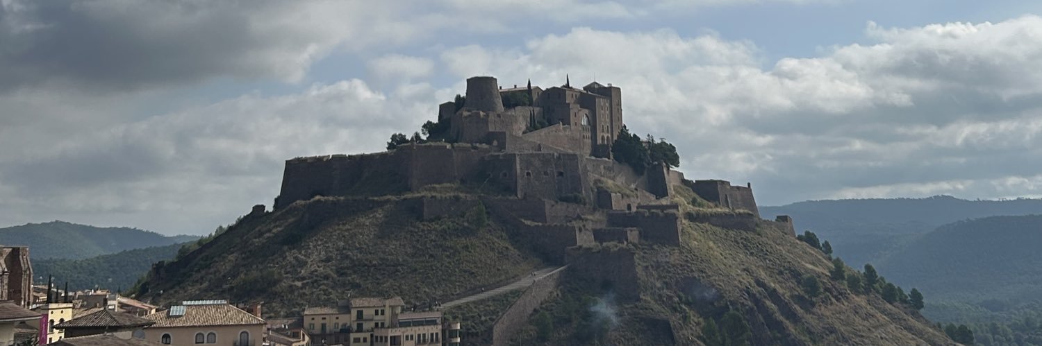 Ferran Estruch i Torrents banner