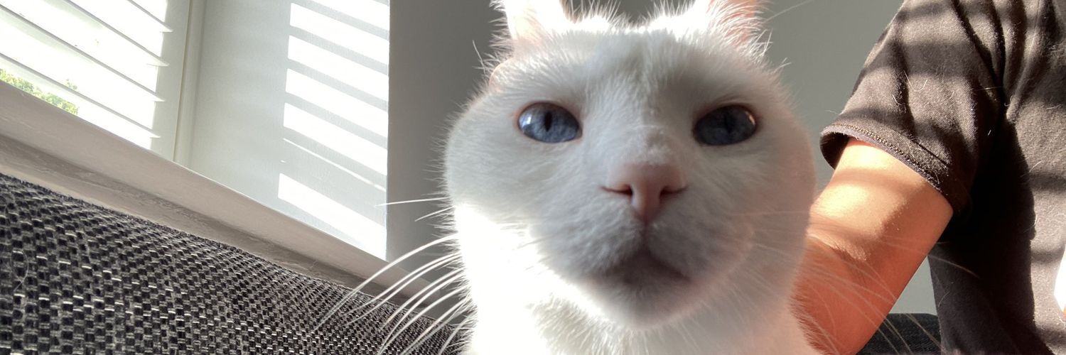 Salihu Muhammad banner