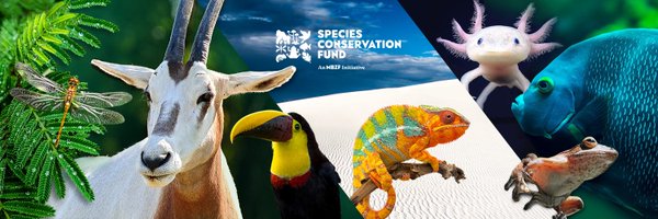 Mohamed bin Zayed Species Conservation Fund Profile Banner