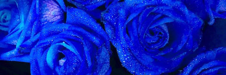 1212mk_'s profile banner image