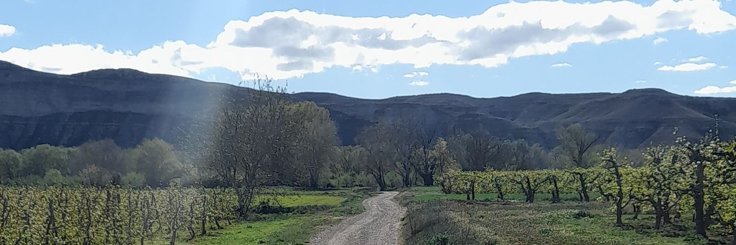 Guillermo Mañas banner