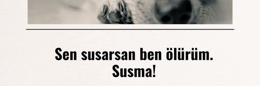 Trabzon Hayvan Hakları Platformu banner