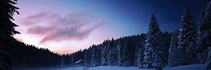 nicbelsol's profile banner image