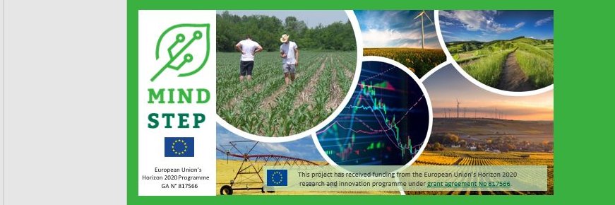 MIND STEP Project banner