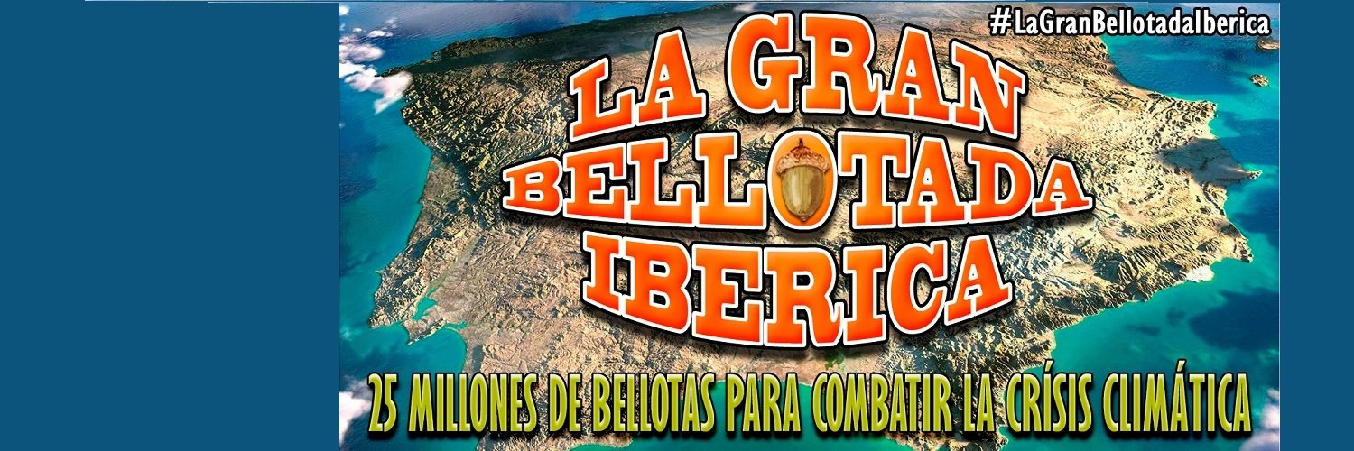 GrandeBellotada's profile banner image