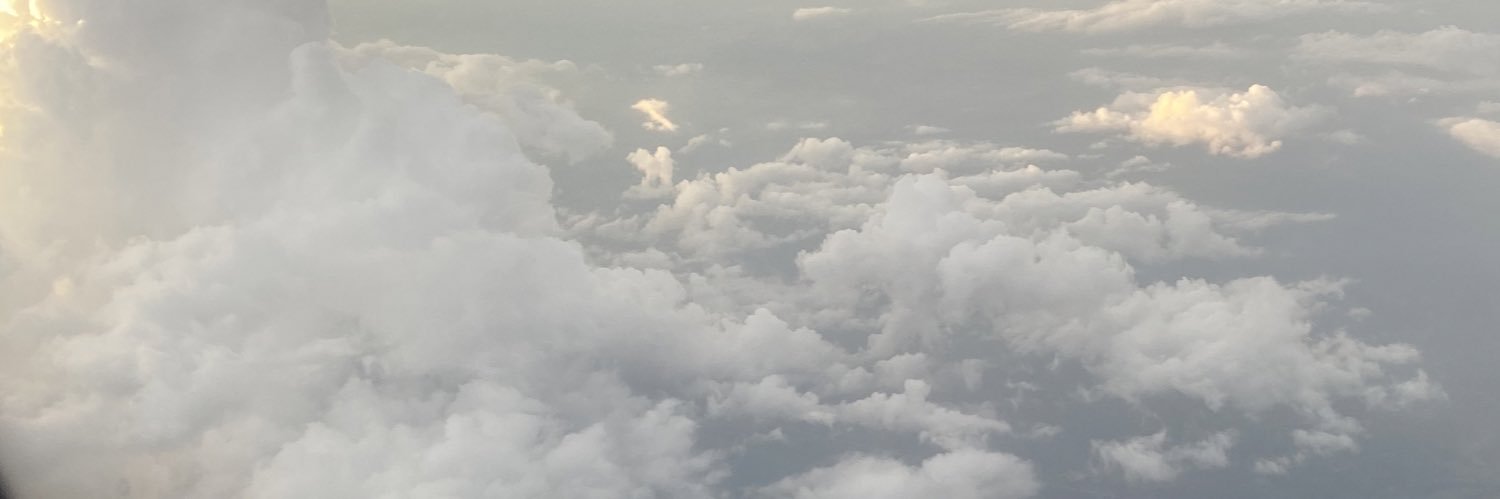 forgetitang's profile banner image