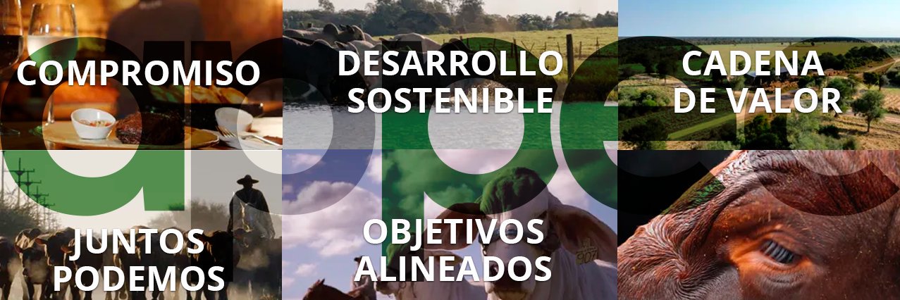 APPEC banner